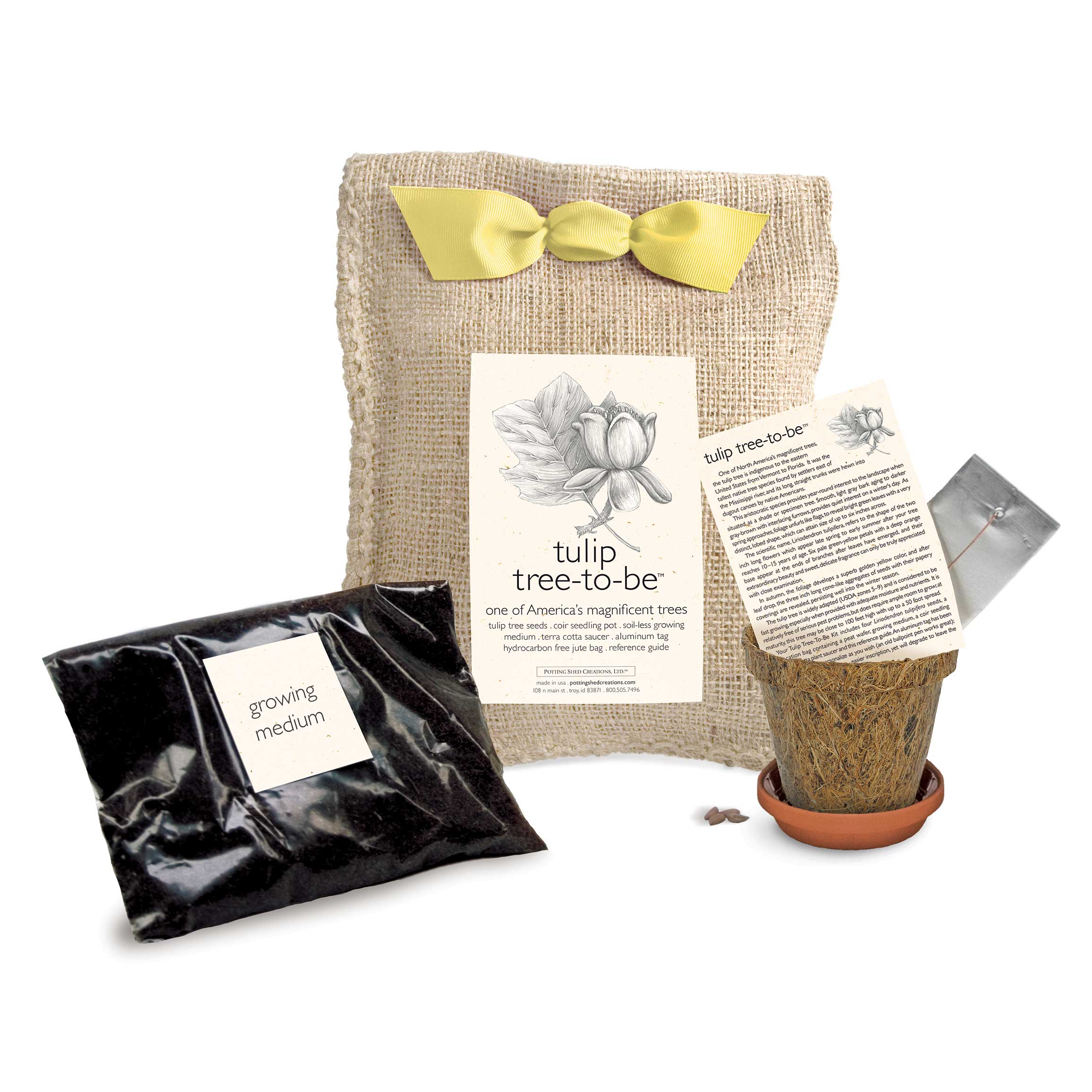 Tree To Be Kit Tree to Be Kit Easy to Grow Tulip Tree With