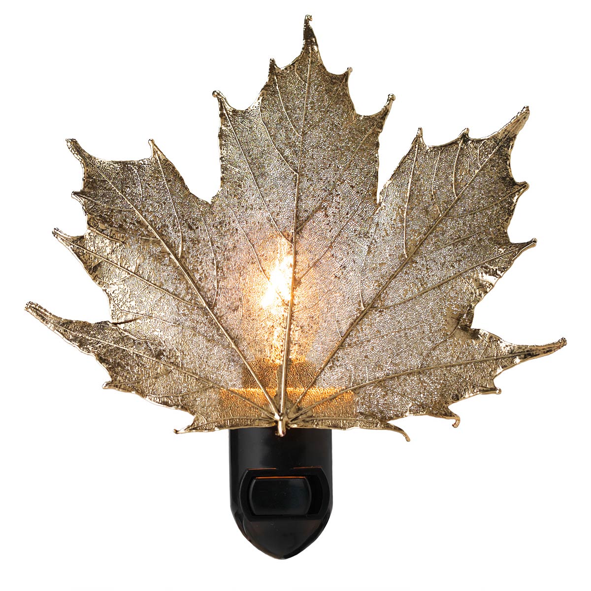 Real Sugar Maple Leaf Night Light Night Light of Leaves Preserved in