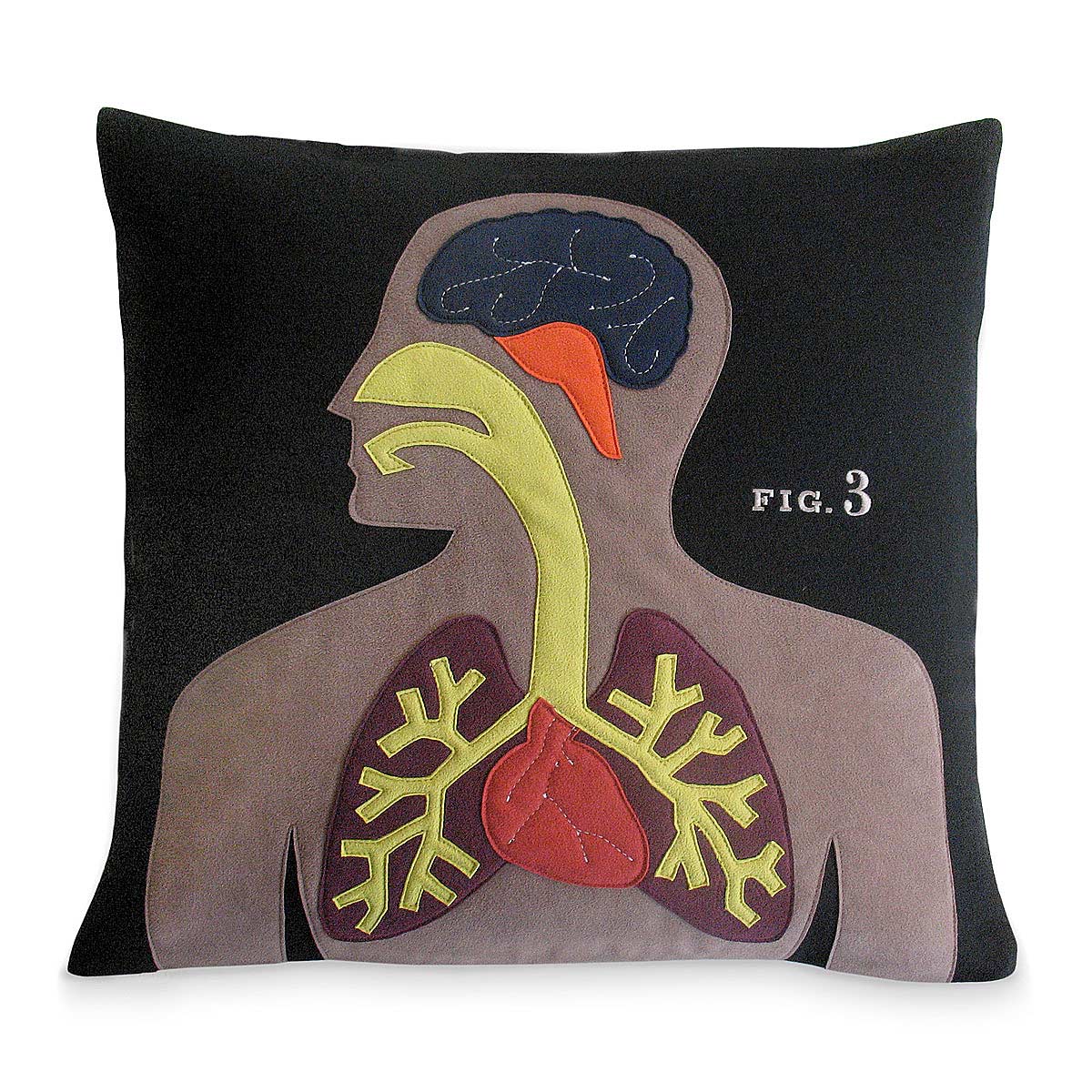 Science Project Pillows Botany, Geology, Anatomy, Living Room