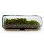 Moss Terrarium Bottle 1 thumbnail