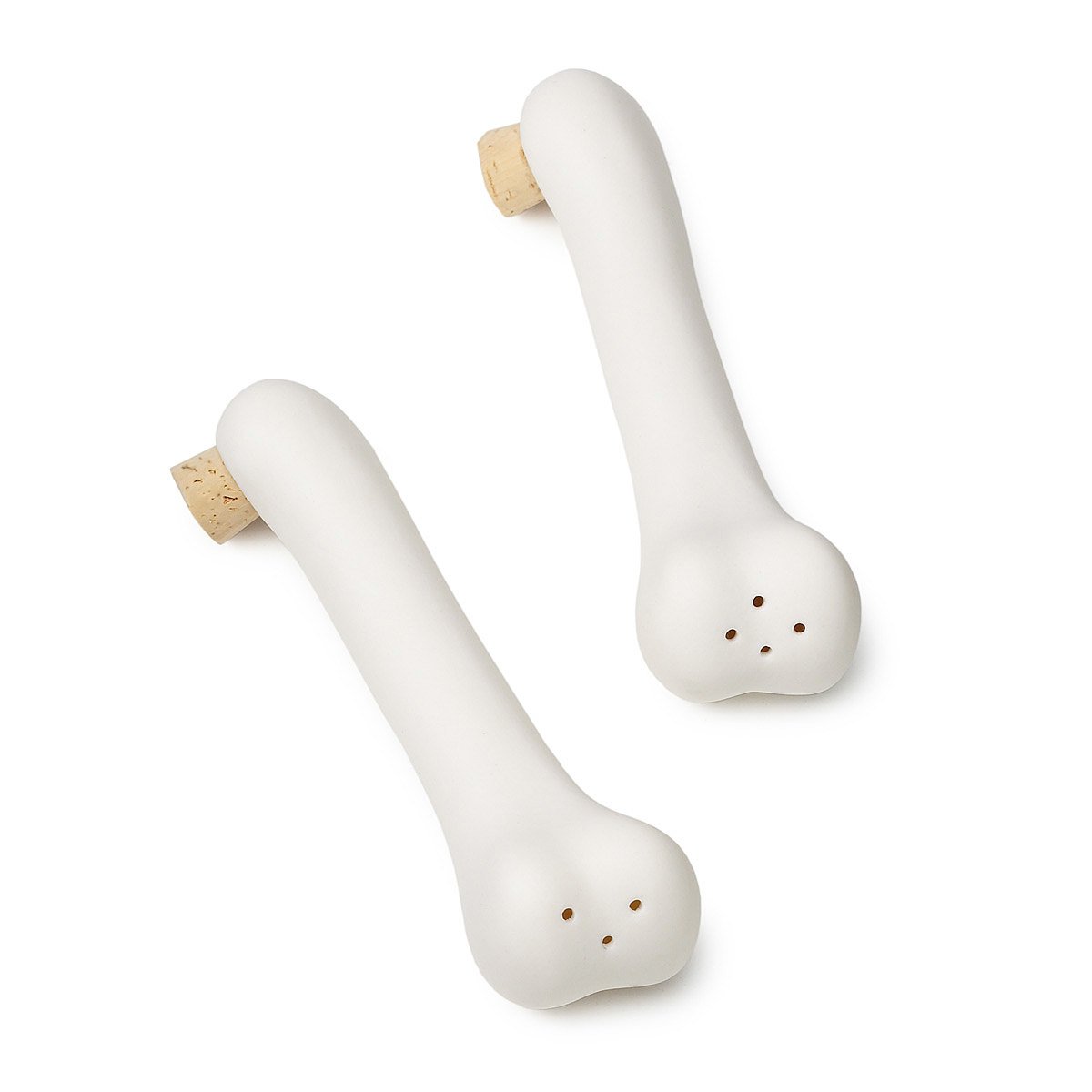 Bones Salt & Pepper Shakers Science Gift, For Doctors