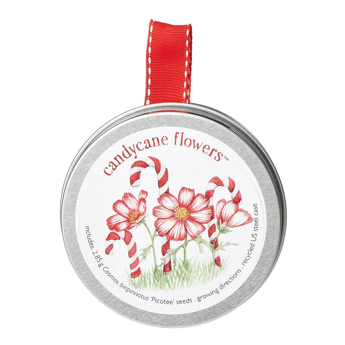 Candy Cane Flowers Christmas Candy Cane Flower Seeds