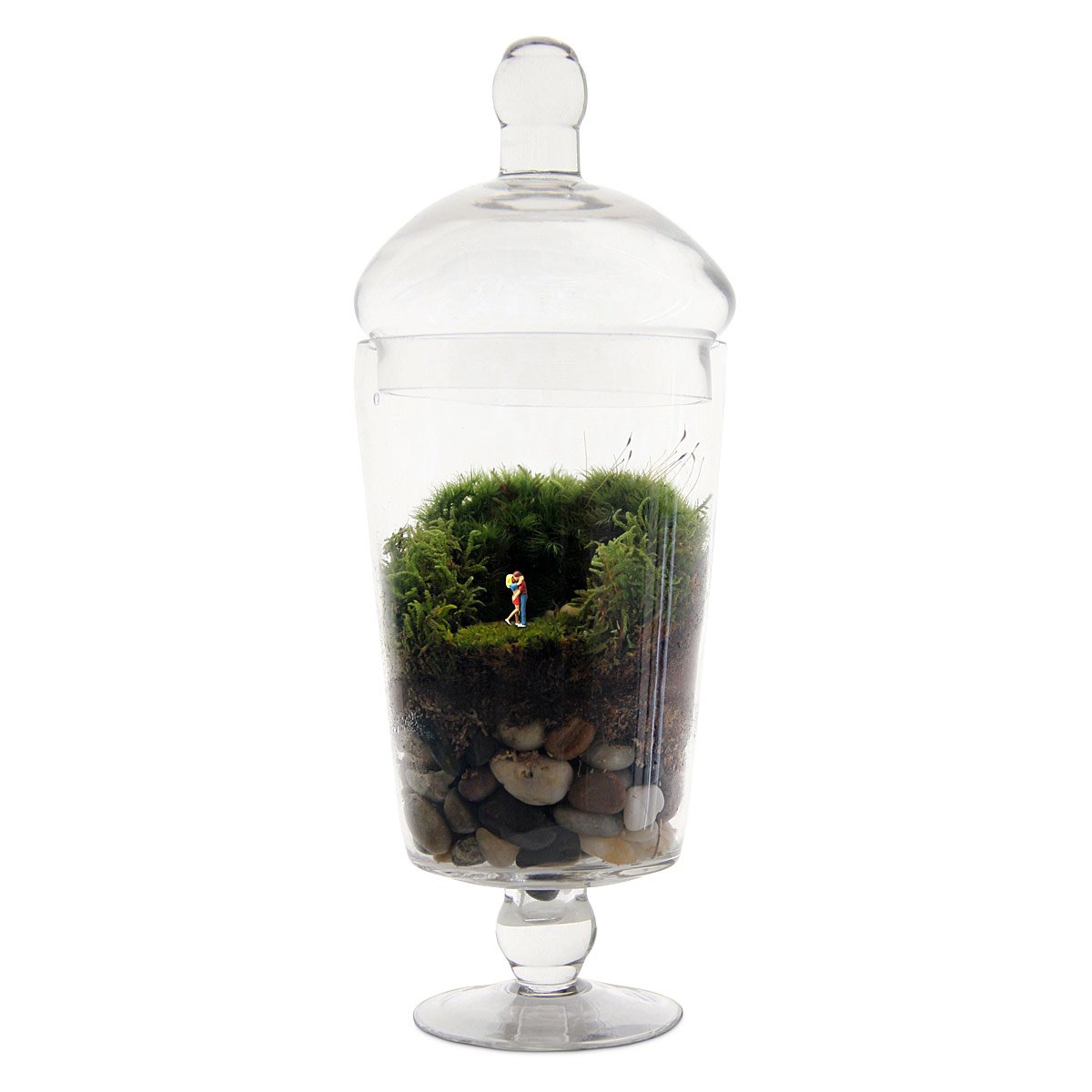 Grow Old With You Terrarium Grow Old With You Terrarium Kit