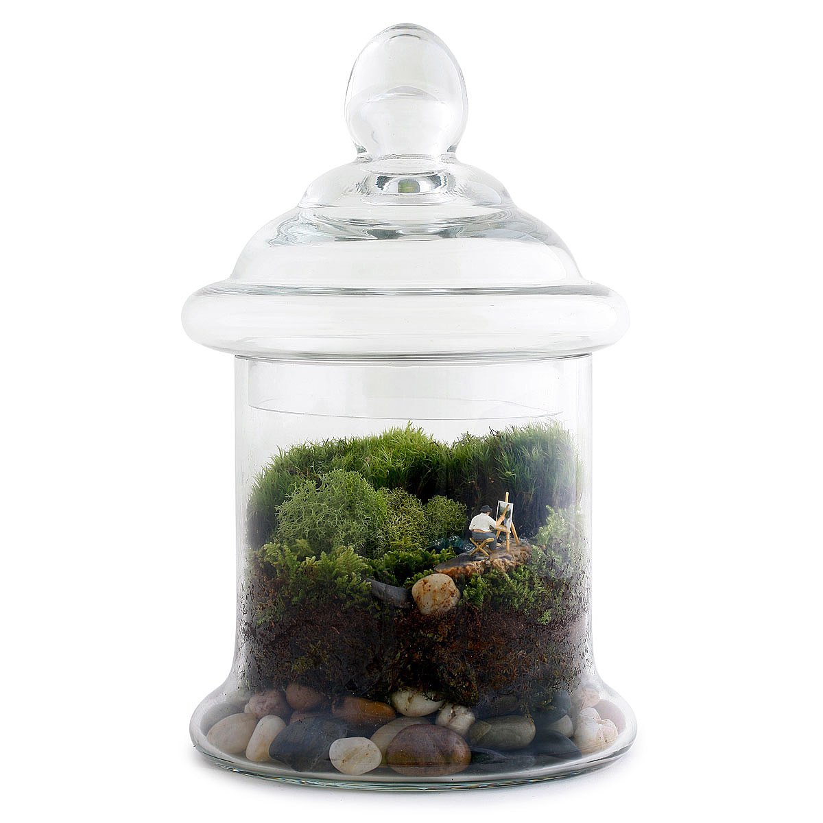 Petite Perspective Terrarium moss terrarium, glass