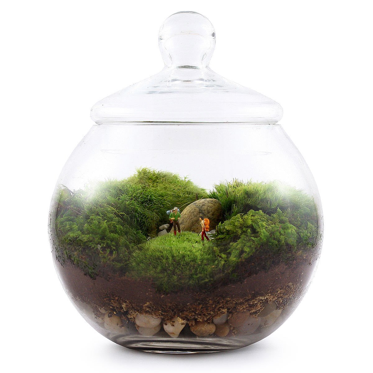 Uncharted Territory Terrarium moss terrarium, glass