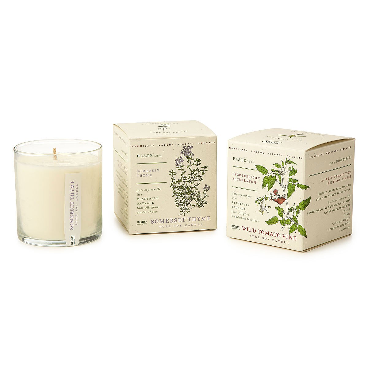 Plant the Packaging Herb and Veggie Candles plant paper