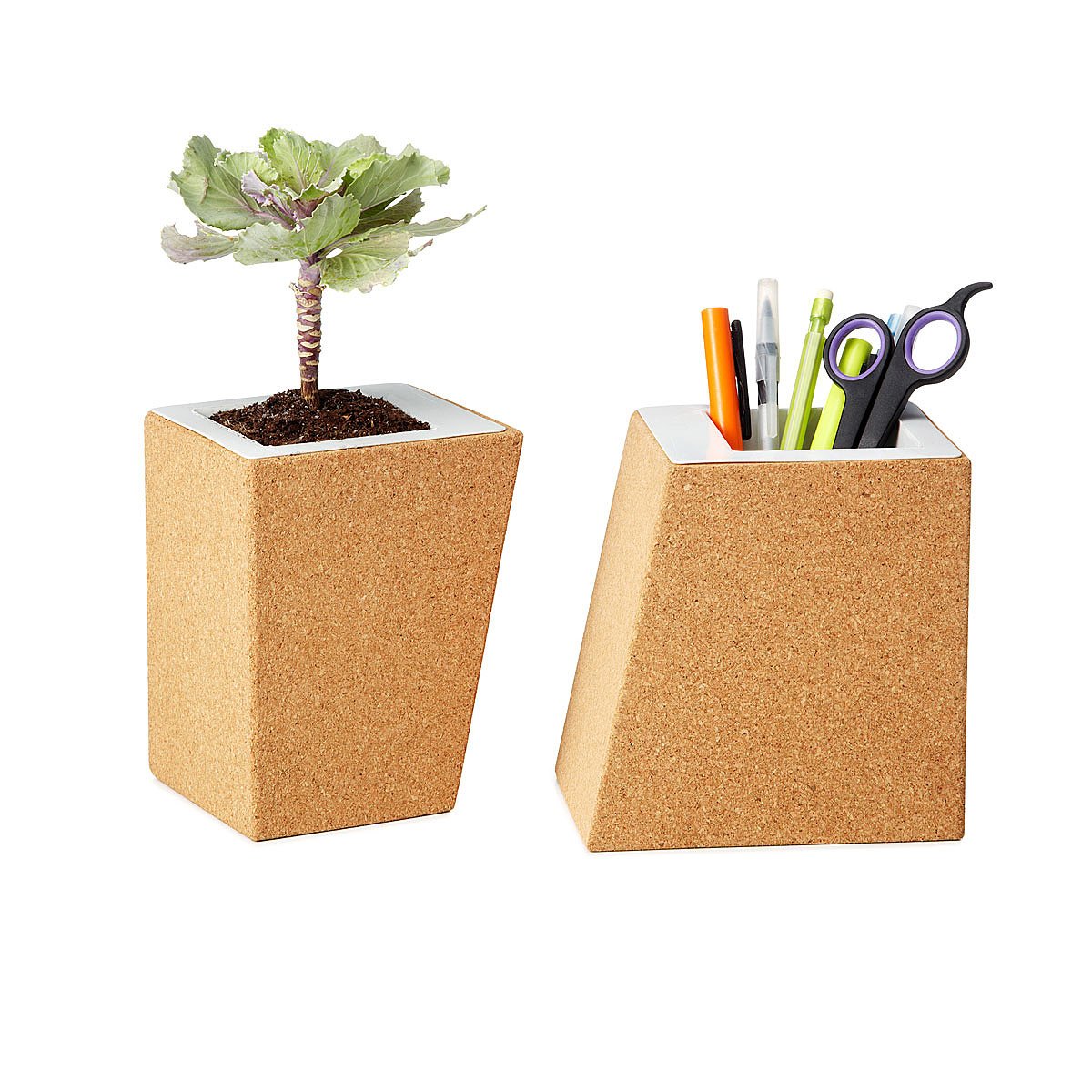 Cork Planters Set of 2 Indoor Planter, Office Organizer