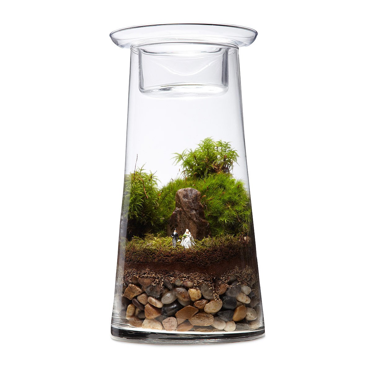 Our Wedding Terrarium Centerpiece DIY Kit succulent plants, votive