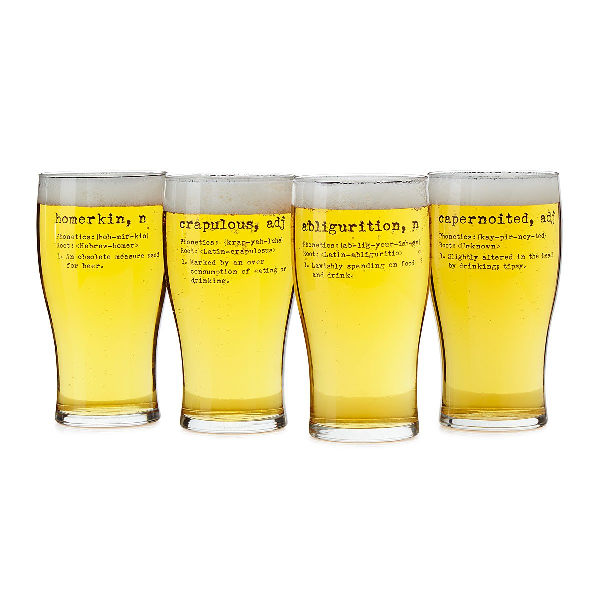 Life by Definition Beer Glasses Set of 4 geeky glassware