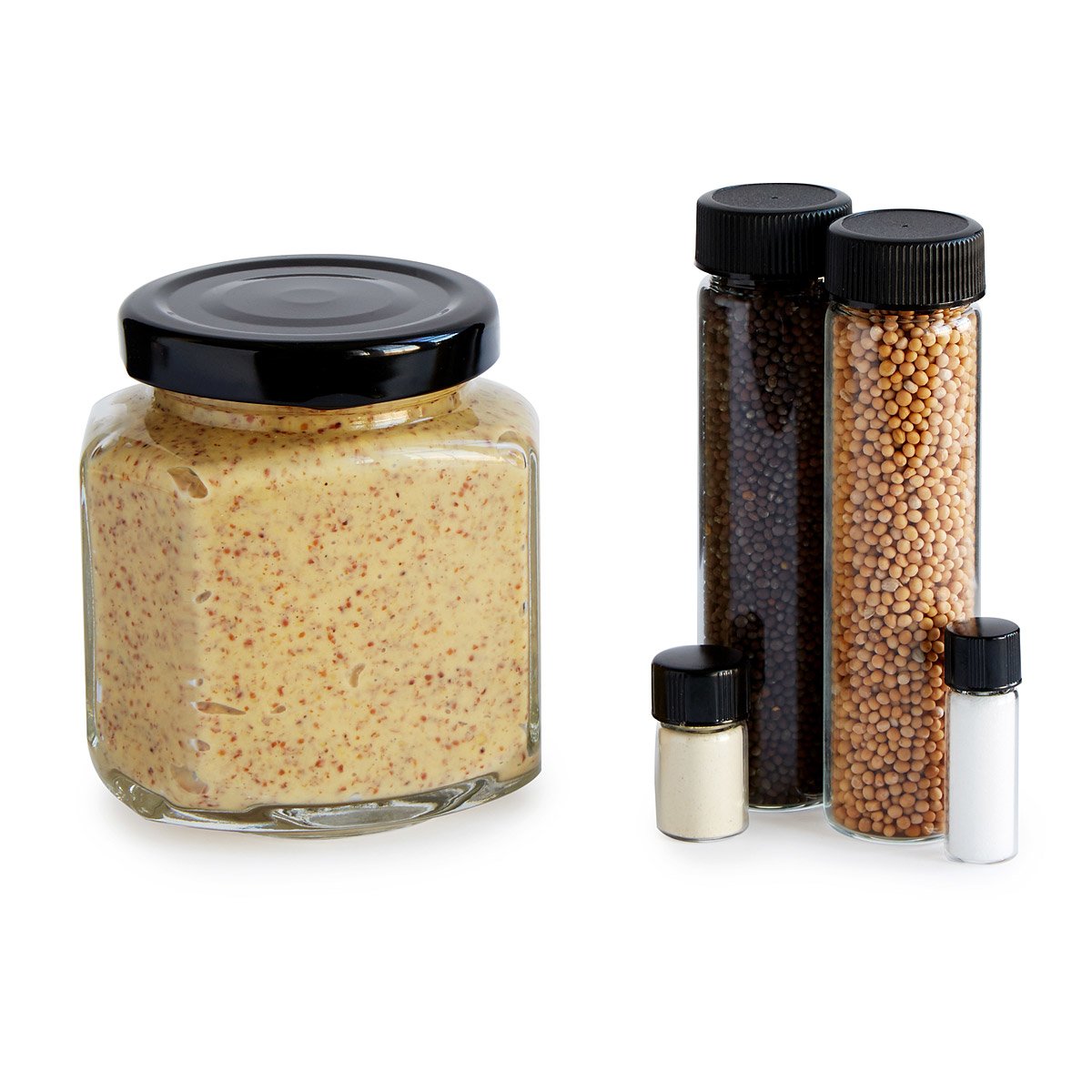 Make Your Own Mustard Kit homemade mustard