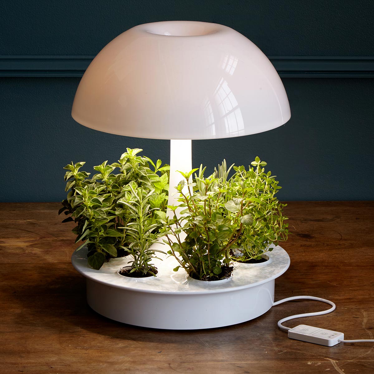 Ambienta Grow Lamp | plant light, hydroponics | UncommonGoods