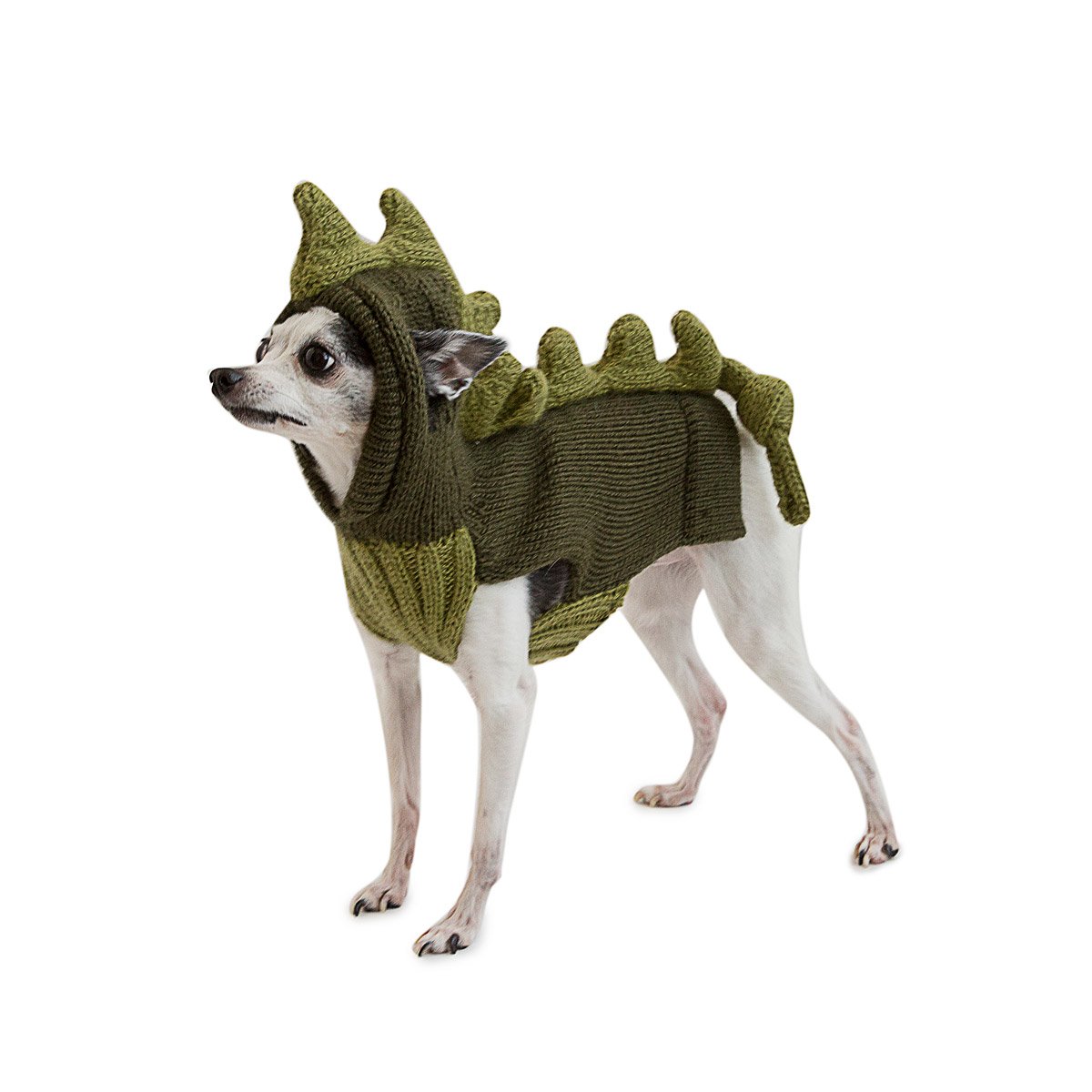 Dinosaur Pet Sweater dog sweaters, dog costumes