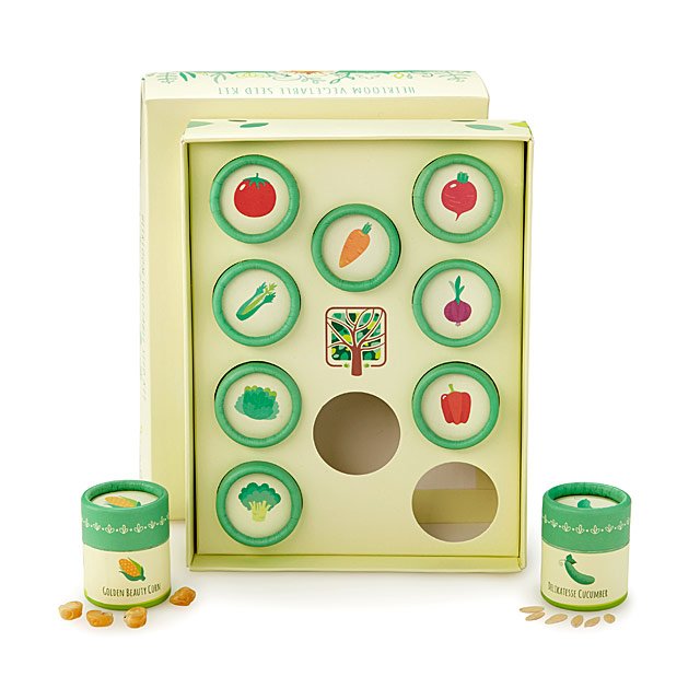 Grow Kits for Kids Children Garden Flowers