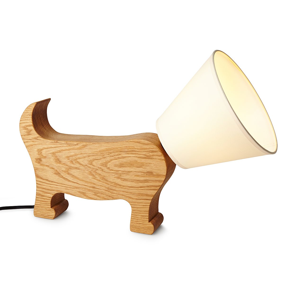 Dog ECollar Lamp dog lamp