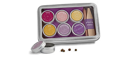 GROWING WISHES SEED KIT