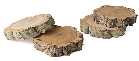 Cork Branch Coasters 