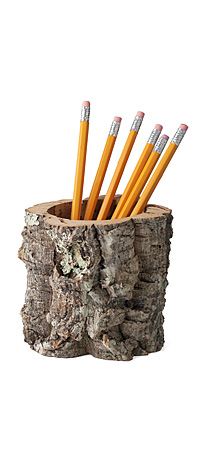 Cork Bark Pencil Holder