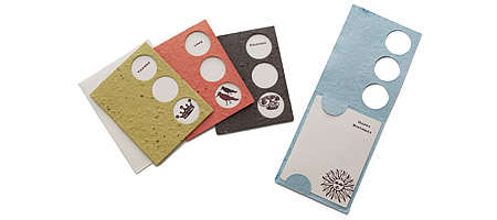Blooming Greeting Cards - Set of 4