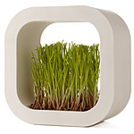\#1 PRAIRIE FACTORY SQUARE | Grass Frame Planter, Grow Patch Of Grass, Indoor Gardening, Nature Indoors | UncommonGoods