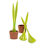 SALAD PLANT