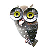My, What Big Eyes You Have!