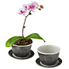 Flower Pot-tery