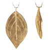Leaves Of Gold