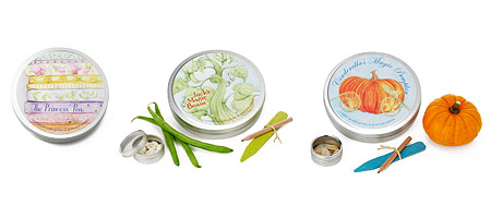 Fairy Tale Seed Kits