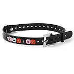 RECYCLED PLASTIC PET COLLAR