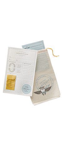 Official Tooth Fairy Kit