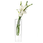 ILLUSION VASES
