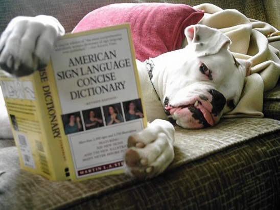 183993_10150145309467053_573187052_8156087_539217_n