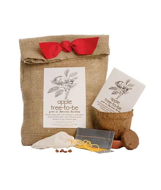 Apple Tree To Be Kit | UncommonGoods