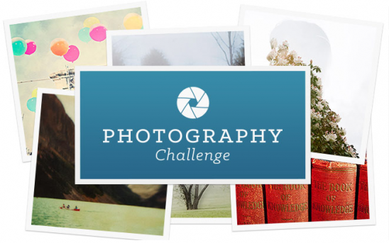 Photography Challenge | UncommonGoods
