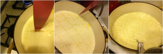 Cheesemaking Kit