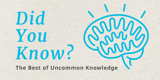 The Best of Uncommon Knowledge | UncommonGoods