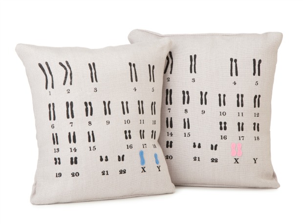 Chromosome Pillows | UncommonGoods