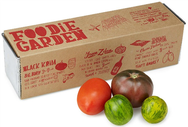 Tomato Takeover Grow Kit | UncommonGoods