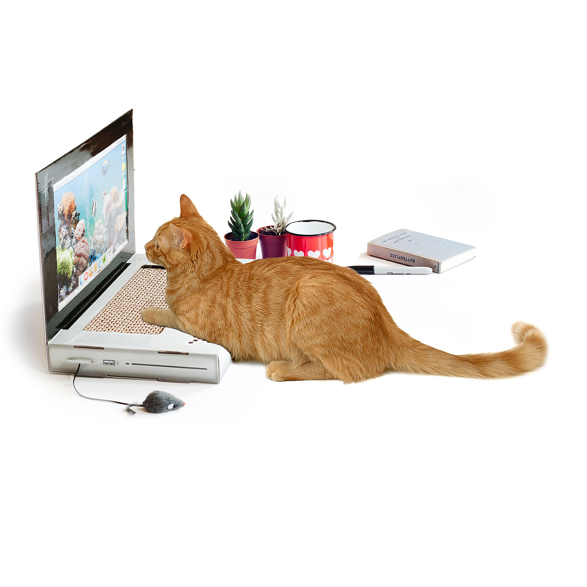 Laptop Cat Scratching Pad | UncommonGoods