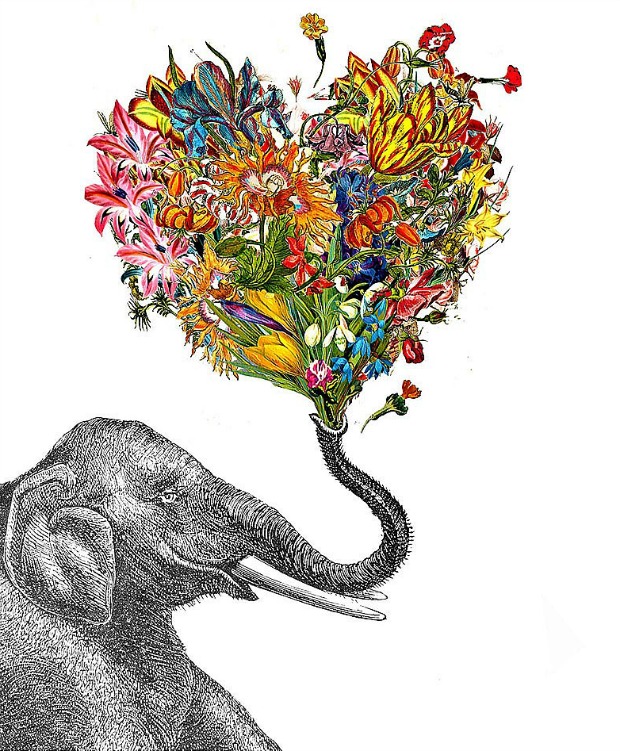 The Happy Elephant | UncommonGoods