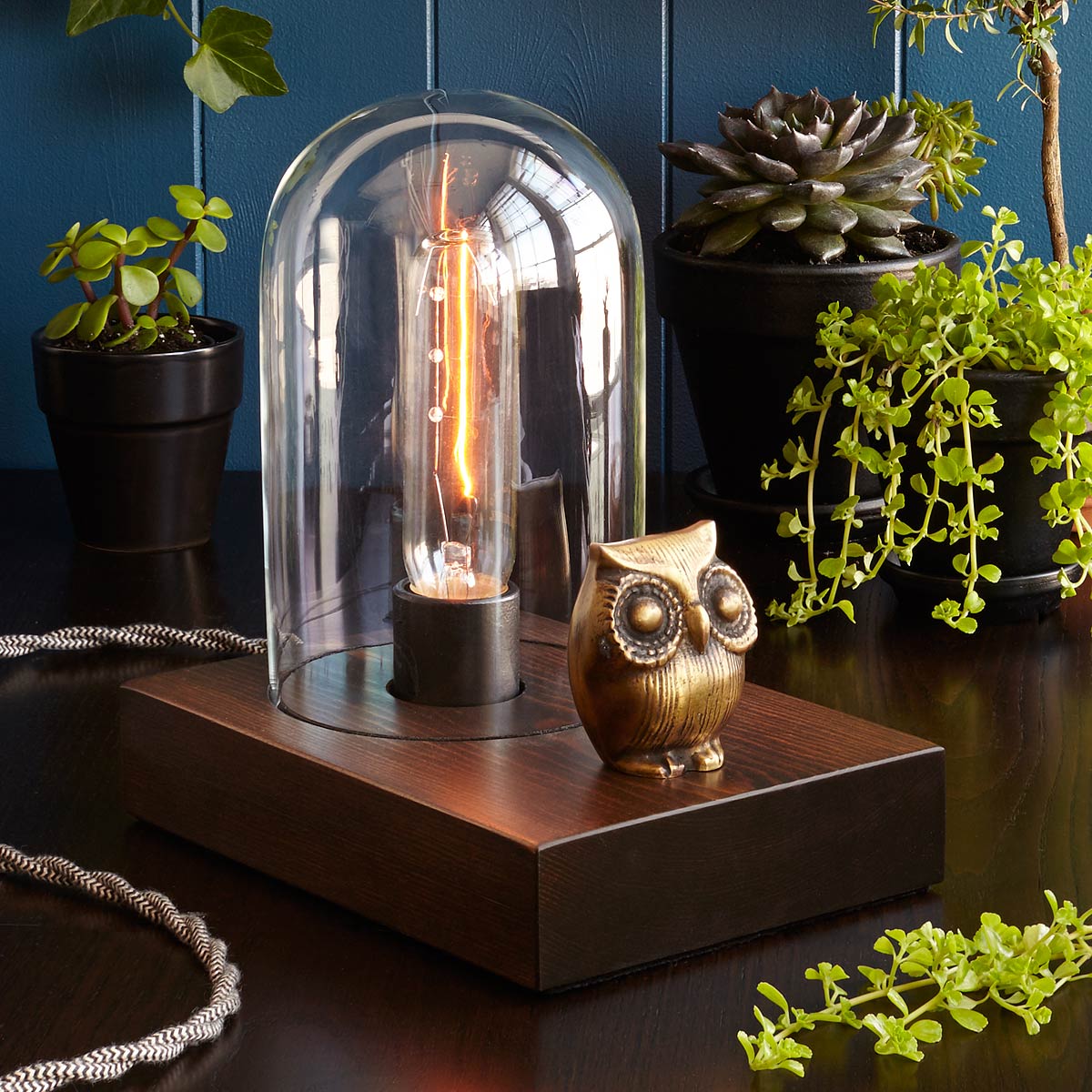 Mr. Owl Touch Lamp | UncommonGoods