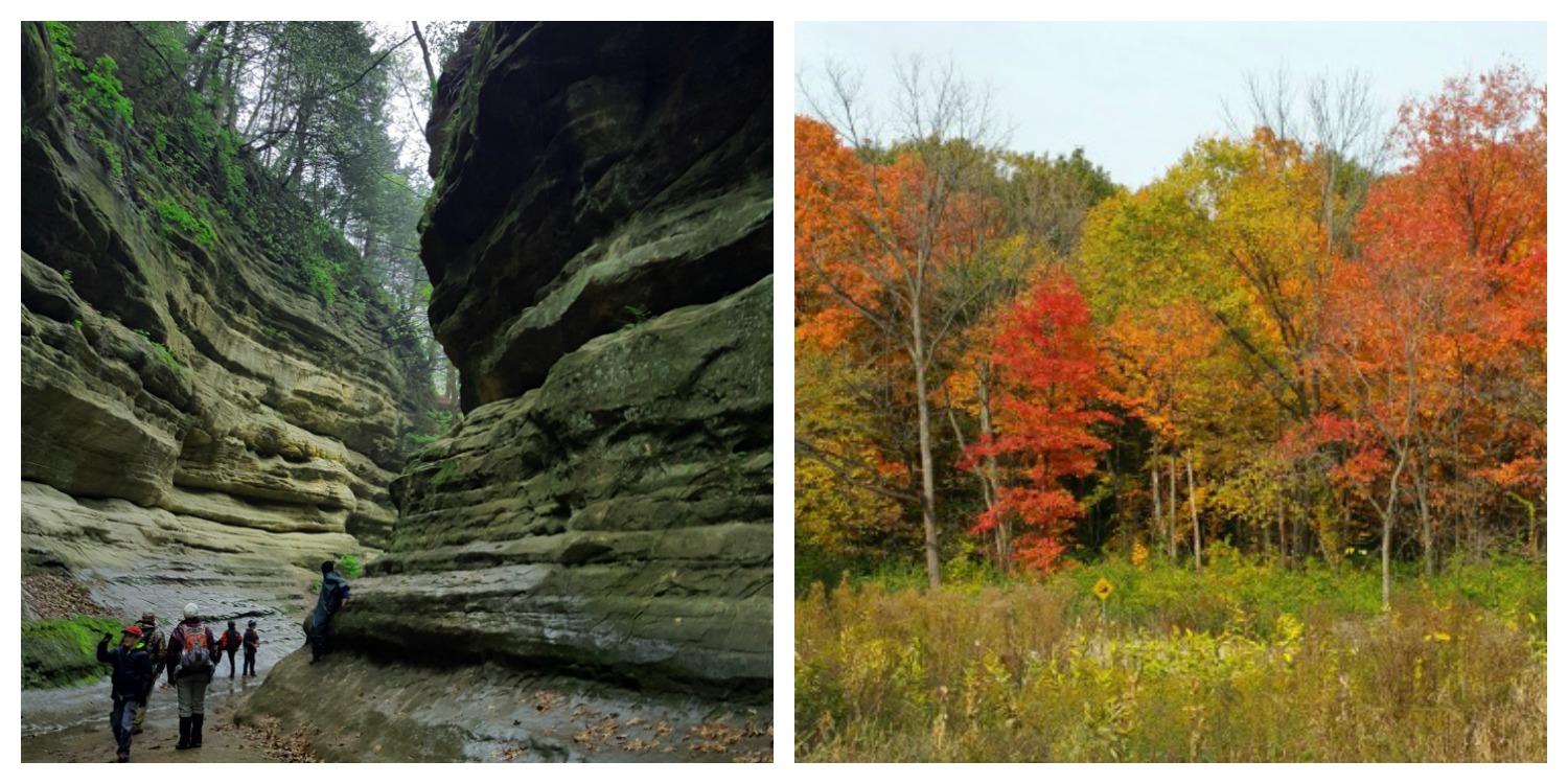 StarvedRock and trees collage