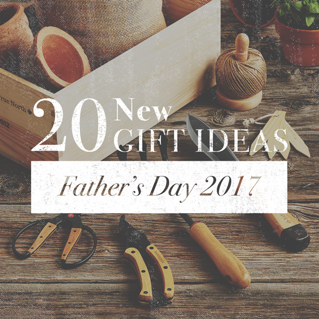 2017 HOLIDAY GIFT GUIDE: FOR DAD — JASMIN WEARS