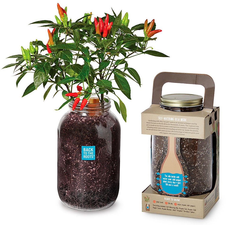 Gift Lab Can A Self Watering Pepper Planter Be Trusted The Goods
