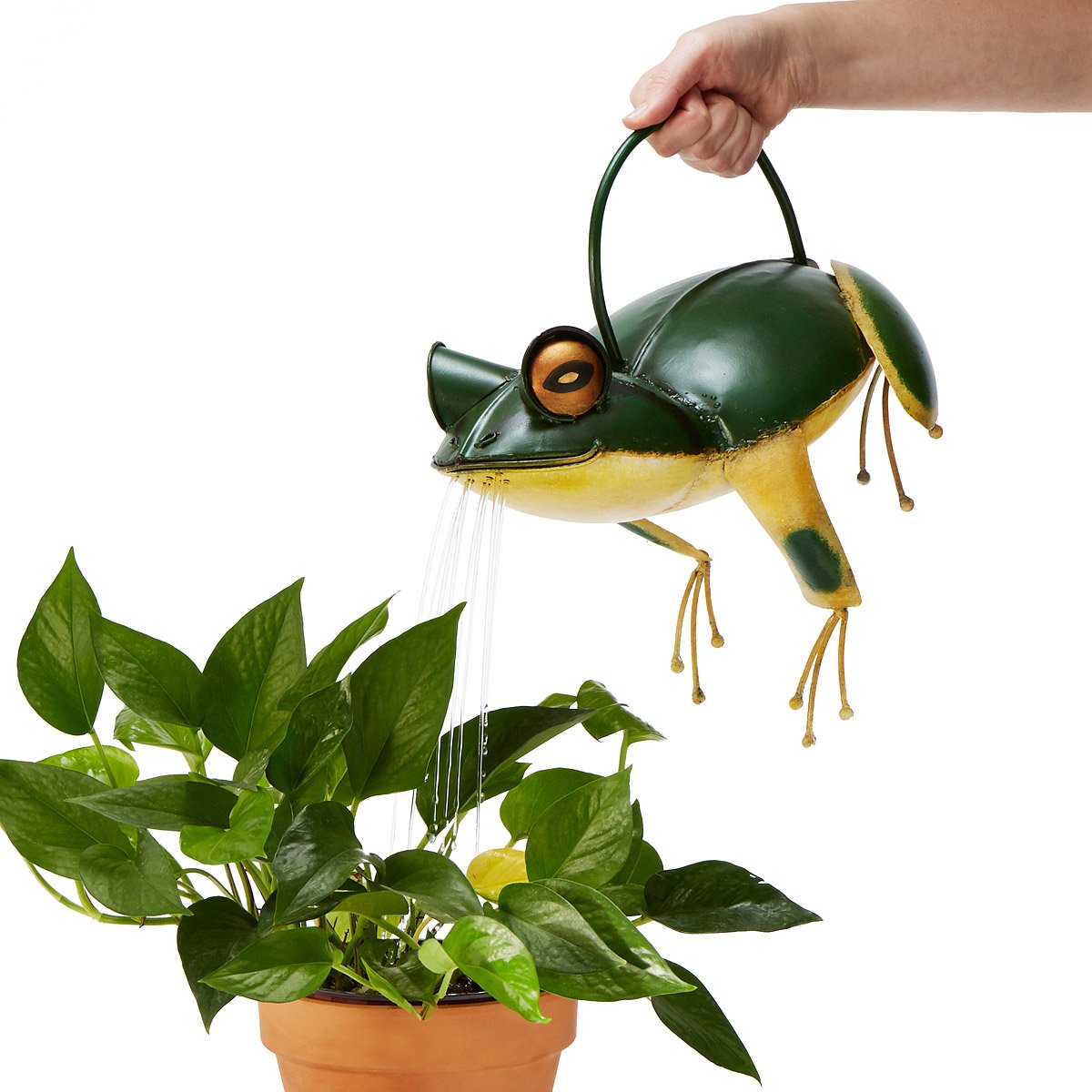 Frankie the Frog Watering Can | UncommonGoods