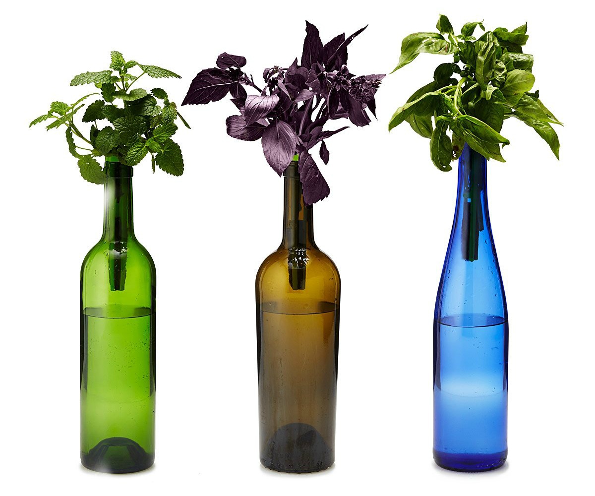 Bottle Stopper Garden Kit | UncommonGoods
