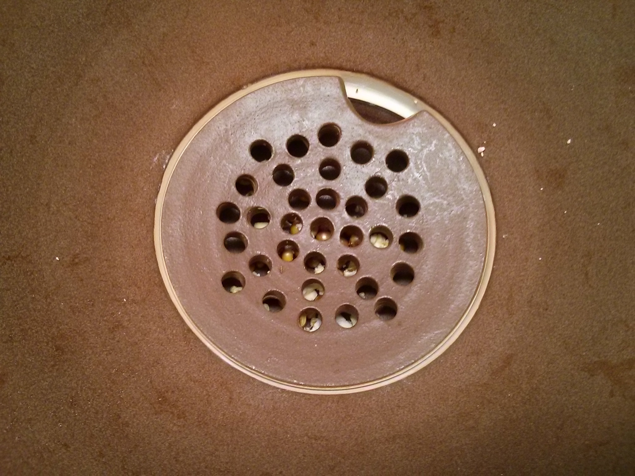 Perfect Popcorn Without the Kernels The Goods