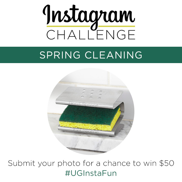 Instagram Challenge SPRING CLEANING The Goods