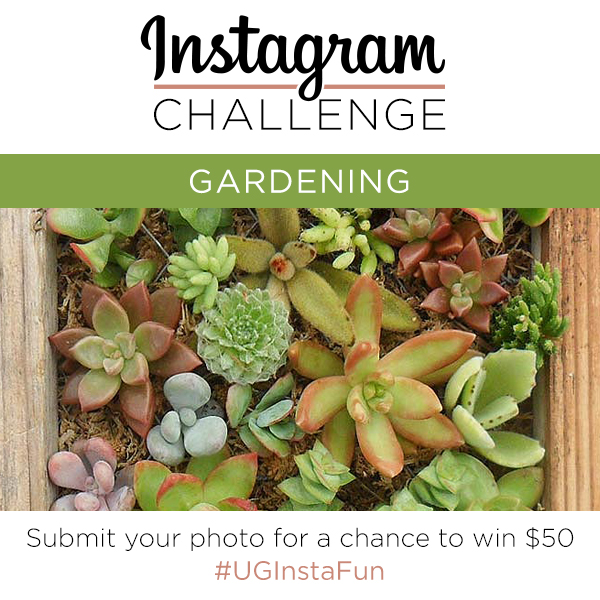 Instagram Challenge GARDENING The Goods