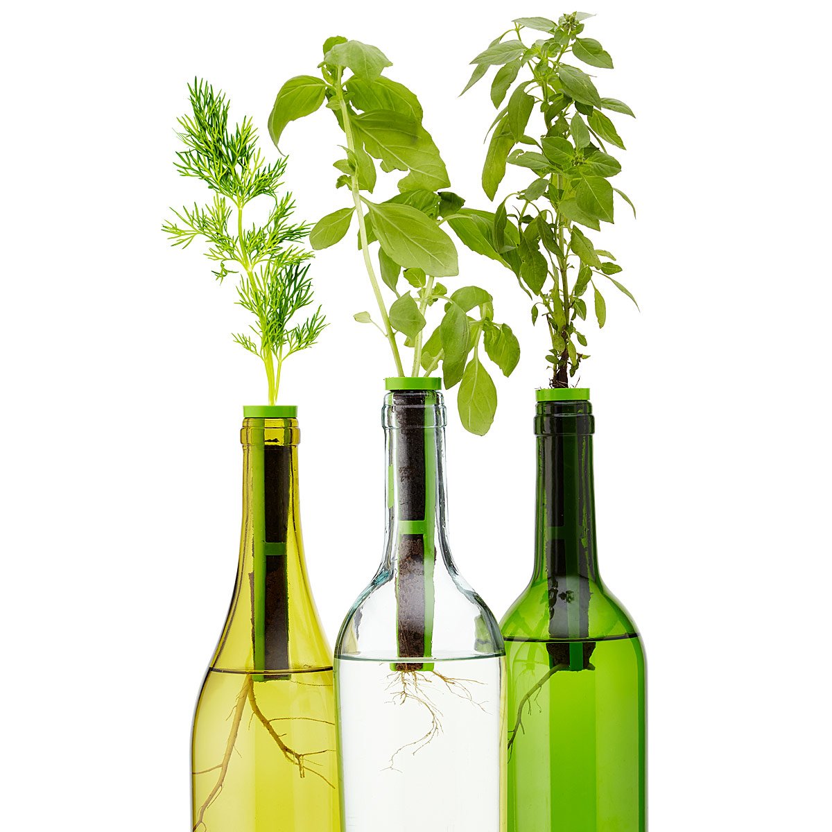 Bottle Stopper Garden Kit | UncommonGoods